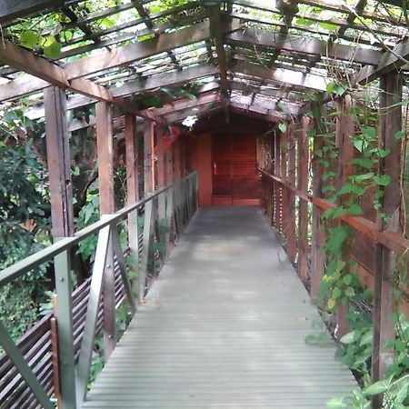 Rumah Turi Eco Boutique Hotel Surakarta  Екстер'єр фото