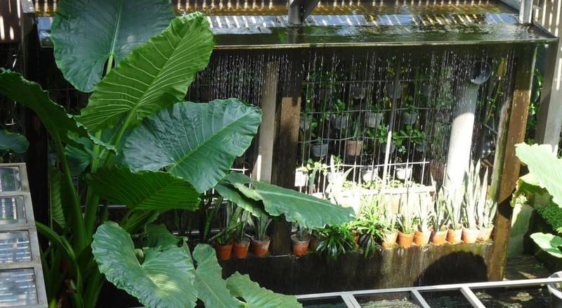 Rumah Turi Eco Boutique Hotel Surakarta  Екстер'єр фото