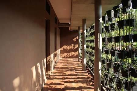 Rumah Turi Eco Boutique Hotel Surakarta  Екстер'єр фото